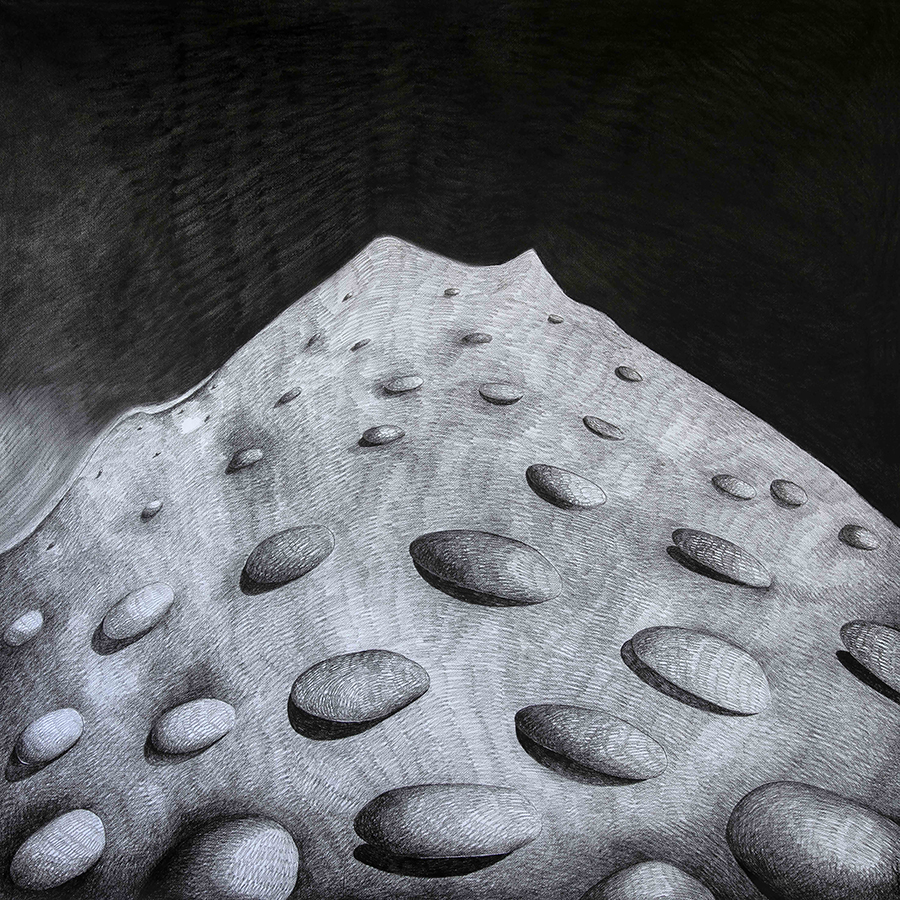 Giuseppe LIVIO - La Montagna, 2019 - carboncino su carta - 150x150 cm.jpg